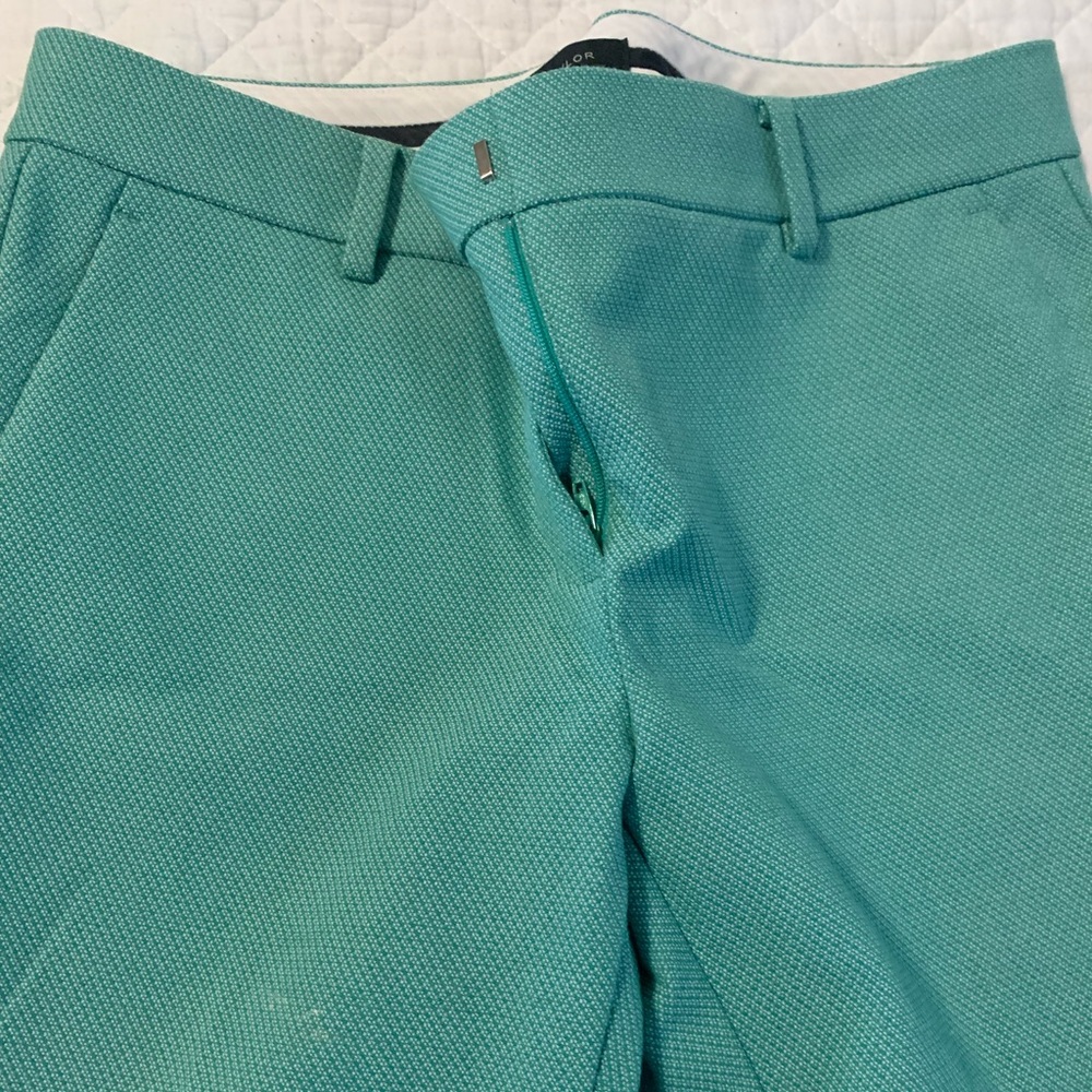 Like new Ann Taylor mint green pants